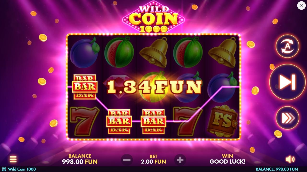 Wild Coin 1000 — Grundspiel